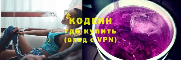 прущие грибы Заволжье