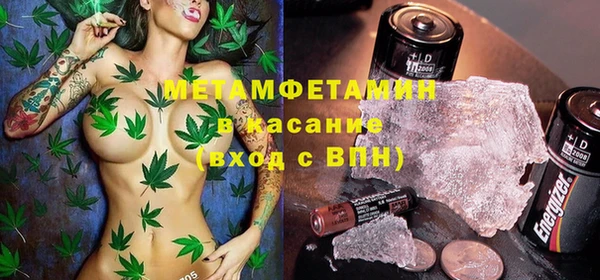 прущие грибы Заволжье