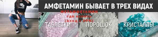 прущие грибы Заволжье