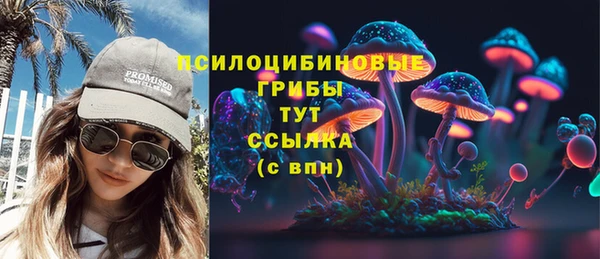 прущие грибы Заволжье
