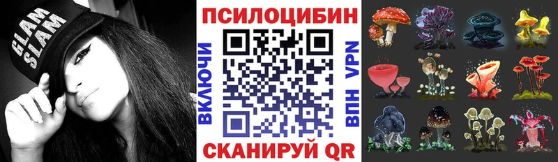 Купить закладки  Ртищево  Псилоцибиновые грибы Psilocybe 